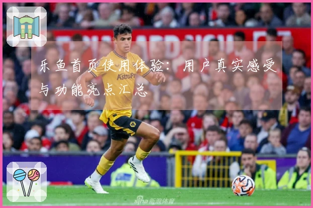 乐鱼首页使用体验：用户真实感受与功能亮点汇总