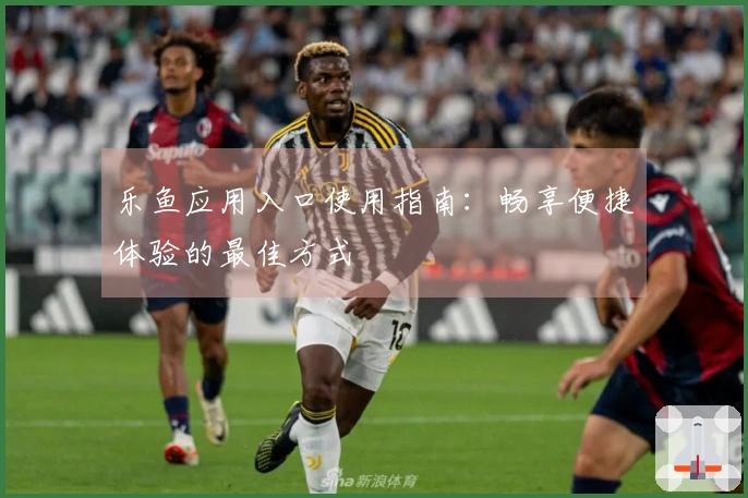 乐鱼应用入口使用指南：畅享便捷体验的最佳方式