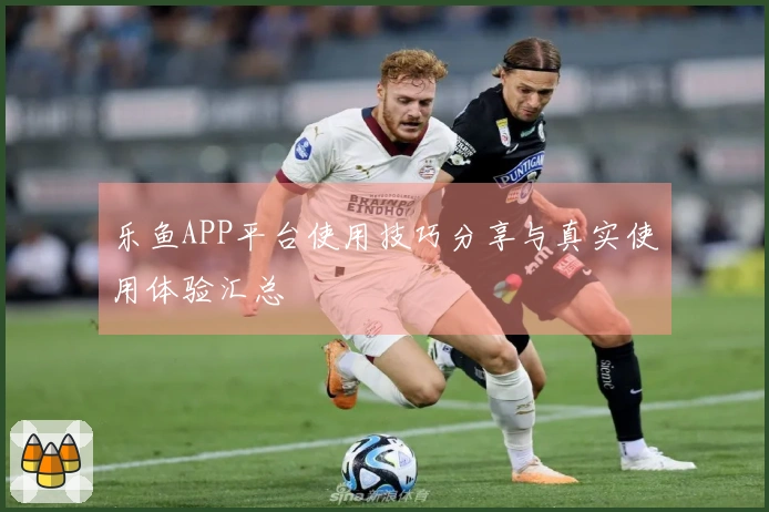 乐鱼APP平台使用技巧分享与真实使用体验汇总