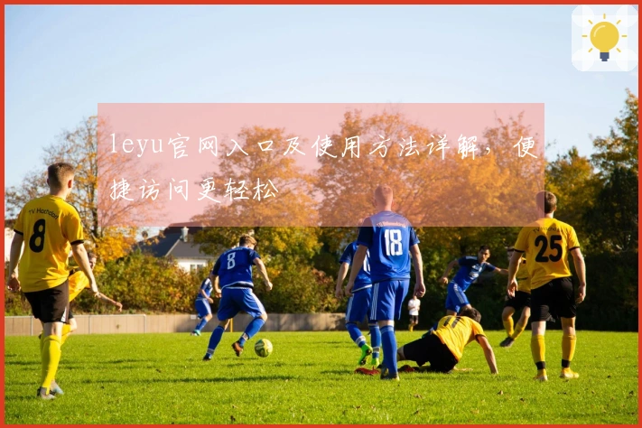 leyu官网入口及使用方法详解，便捷访问更轻松