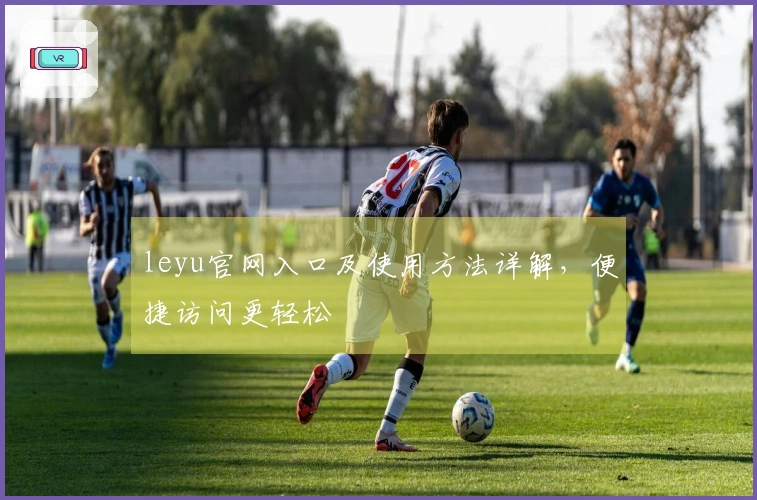 leyu官网入口及使用方法详解，便捷访问更轻松