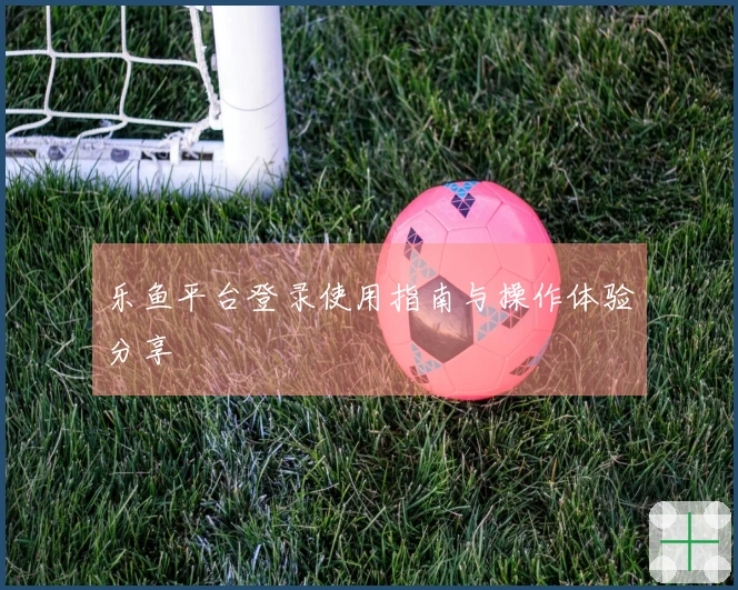 乐鱼平台登录使用指南与操作体验分享